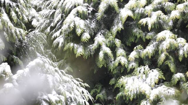 家人们，浙师大邀请你加入下雪群聊！