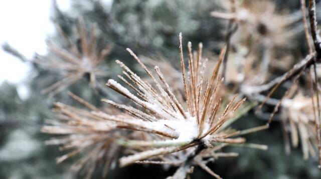 家人们，浙师大邀请你加入下雪群聊！