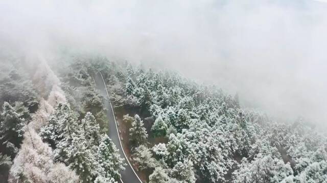 家人们，浙师大邀请你加入下雪群聊！