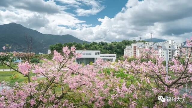 （吴小琪谢雨泉摄）