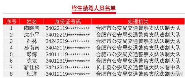 安徽合肥又有8人被终身禁驾