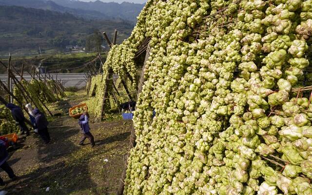 “天价”榨菜比肩白酒？ 食品行业纷纷被动涨价或主动升级