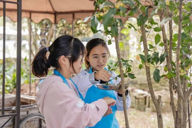 割稻子、烤红薯、土灶饭…… 交大这门课，上到田间地头！