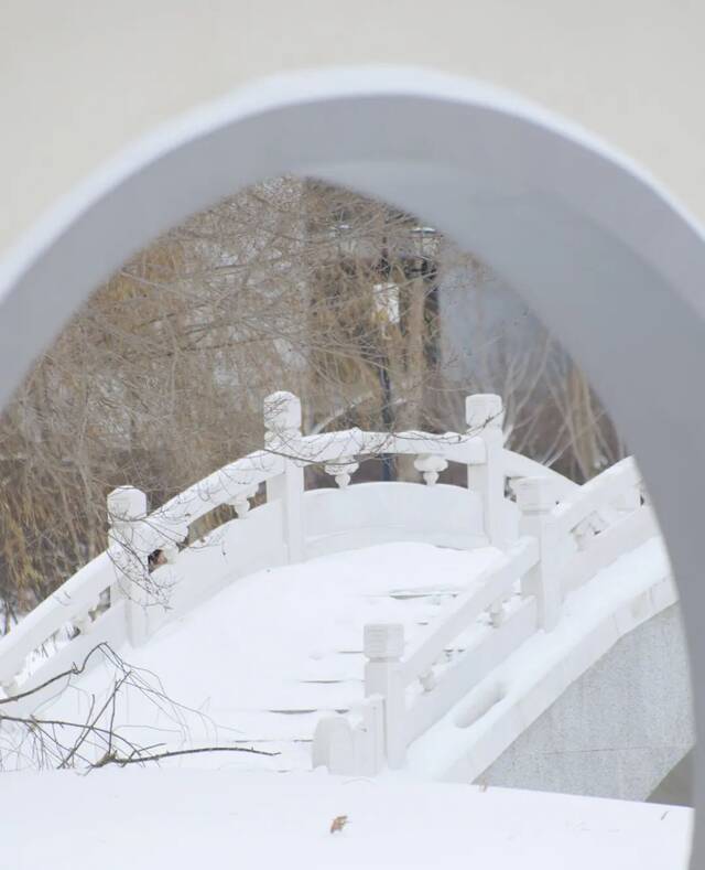 东农——月色与雪色之间，你是第三种绝色