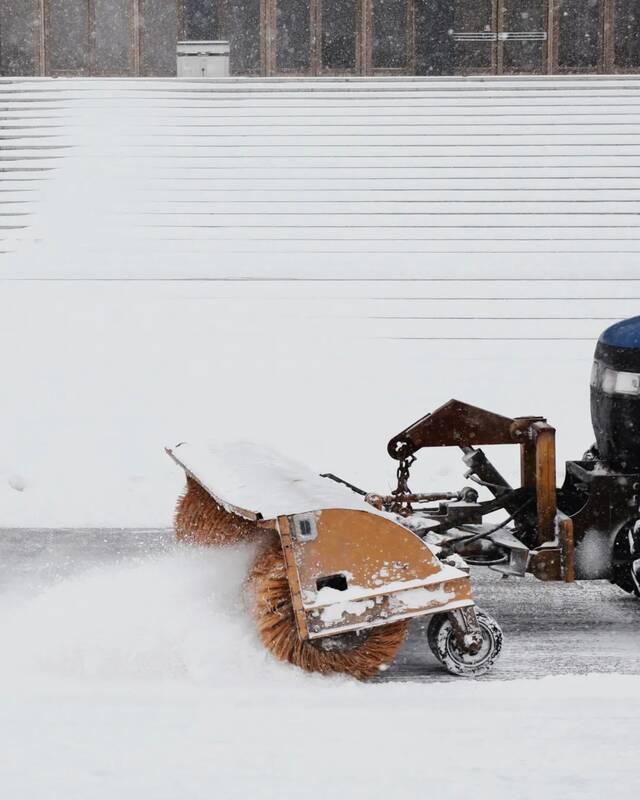 东农——月色与雪色之间，你是第三种绝色