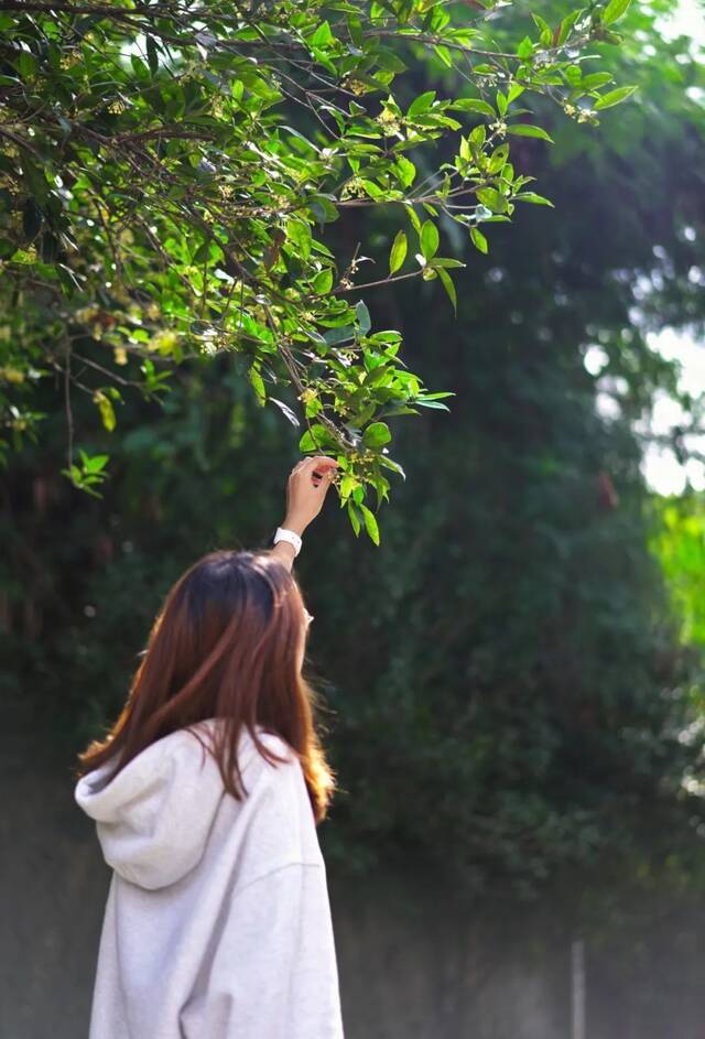 从秋到冬的温柔，有农林大，有你