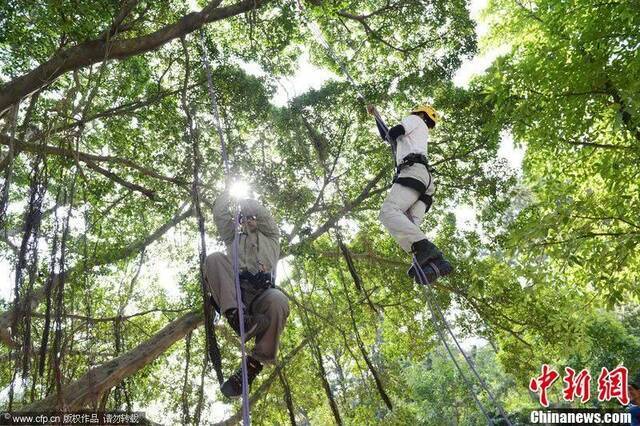 扭秧歌、爬树、织毛线……高校里的那些“宝藏”选修课