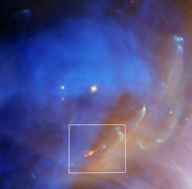 来自一颗新形成的恒星的喷流向反射星云NGC 1977深处闪耀