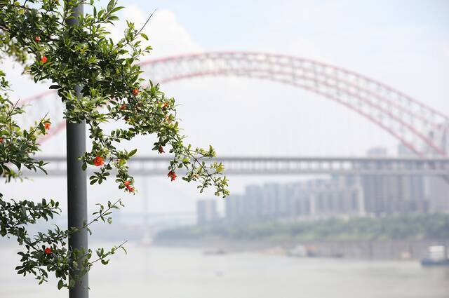 三洞桥风情街图：重庆两江新区