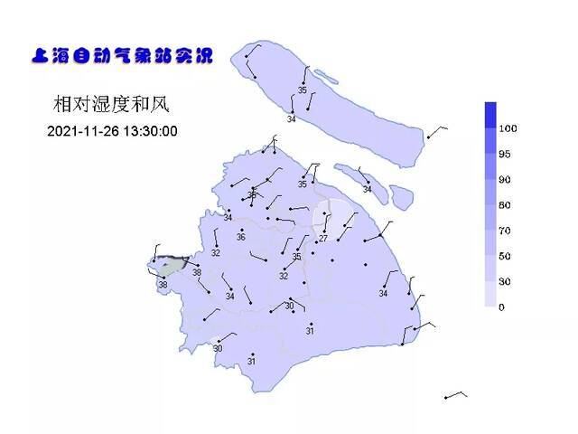 近日的暖意叫“锋前增温”，下周上海会将“冷”进行到底