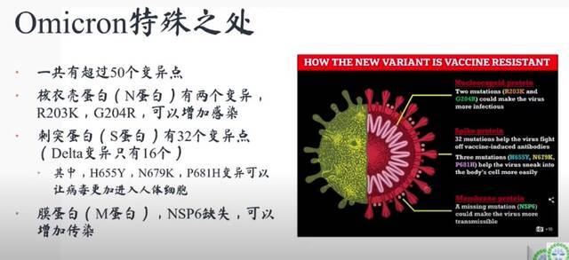 Omicron毒株同时存在3种类型的蛋白突变图表由江剑刚提供