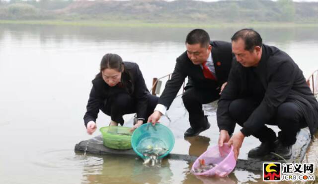 增殖放流 现场直击