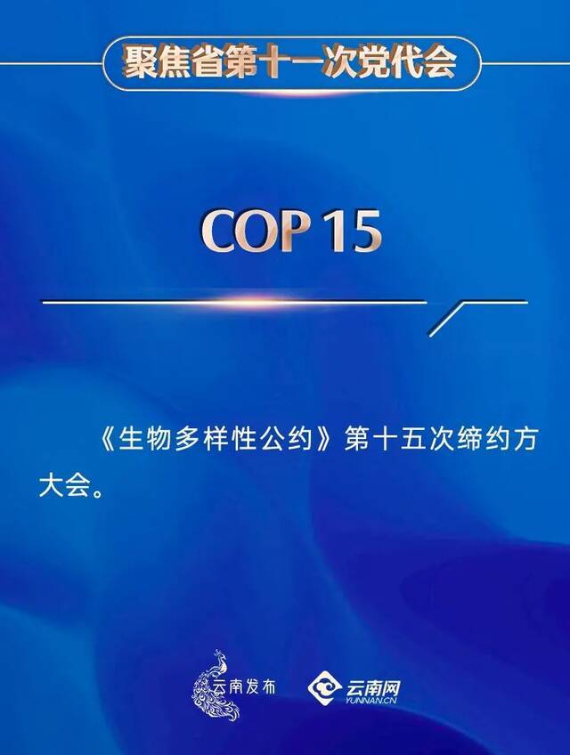 30个名词解释帮你读懂党代会报告