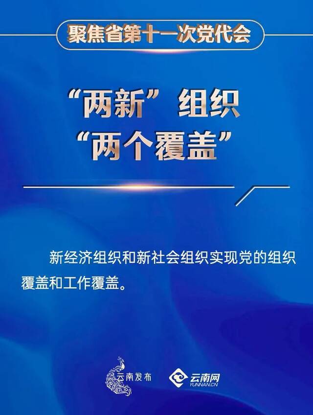 30个名词解释帮你读懂党代会报告