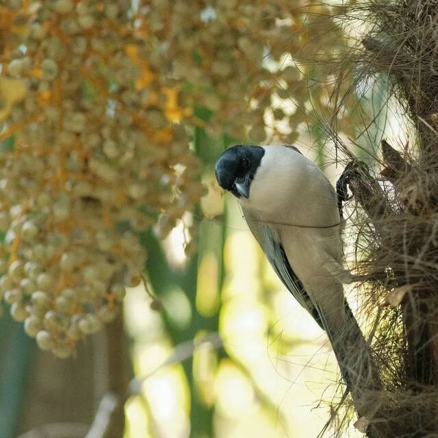 你怎么那么好看！