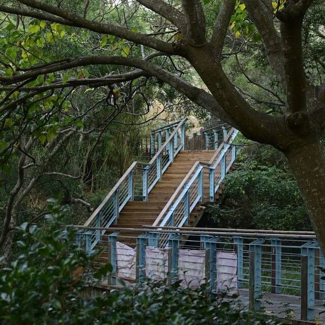 藏不住了！厦大里的十大“小众宝藏地”！