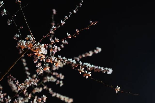 东师夜景  美丽夜色，与你共赏