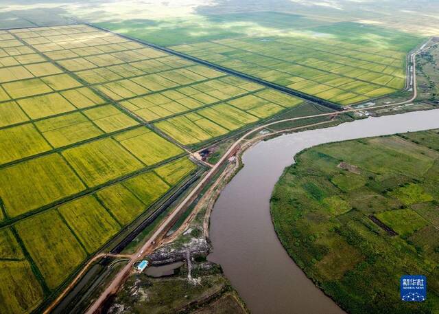 这是2019年4月7日无人机拍摄的莫桑比克万宝莫桑农业园的水稻田。万宝莫桑农业园是中国在非洲最大规模水稻种植项目，极大地缓解了莫桑比克粮食短缺问题。新华社记者张宇摄