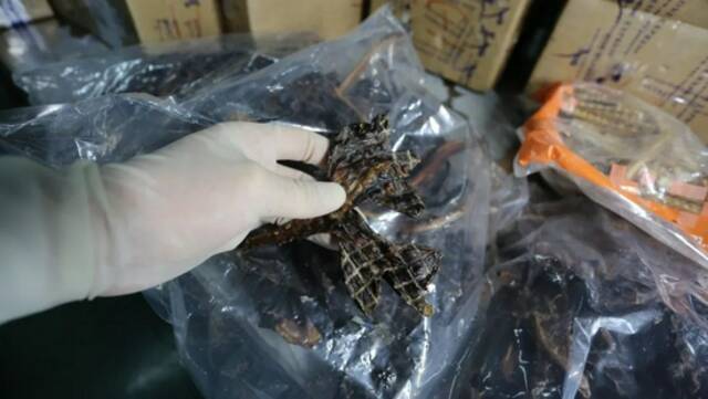 “芒果干”竟是袋鼠肉？广东佛山海关查获实际物品为“袋鼠肉制品”4包