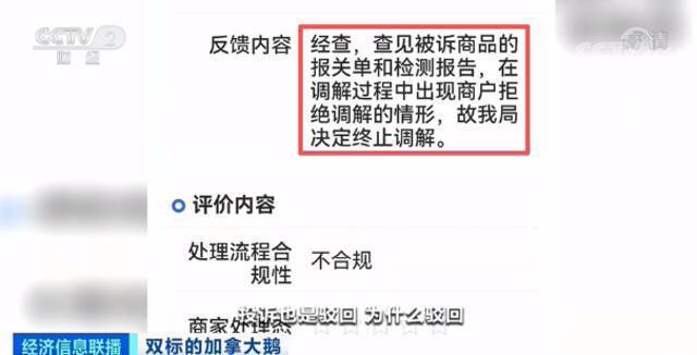 加拿大鹅被约谈 参会人员“一问三不知”