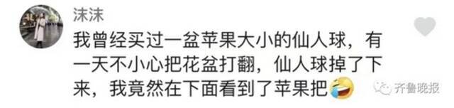 定闹钟浇水！山东一女子养了半年的花，发现竟是假的…网友评论笑疯了