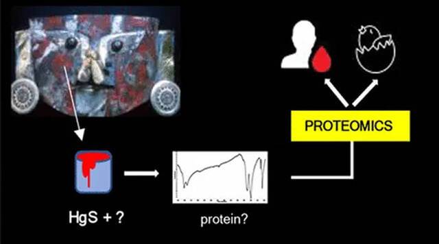 1000多年前秘鲁Sicán文化黄金面具中发现人类血液和鸟蛋蛋清