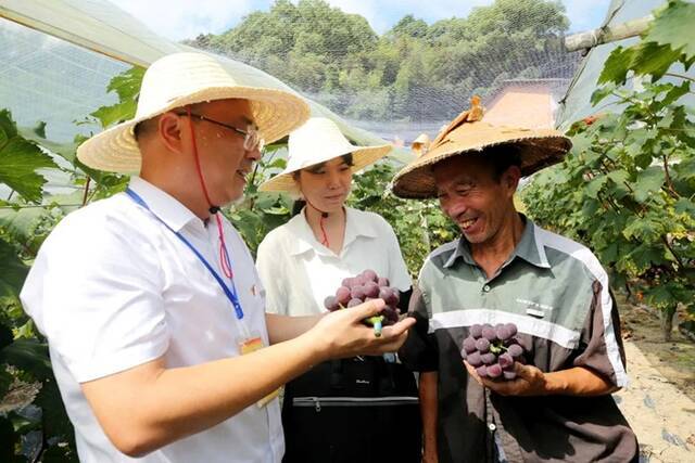 古田县纪检监察干部在水口镇葡萄园向群众了解惠农政策落实情况。