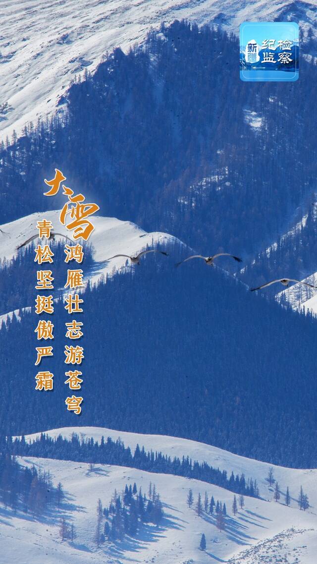 海报  大雪已至仲冬始