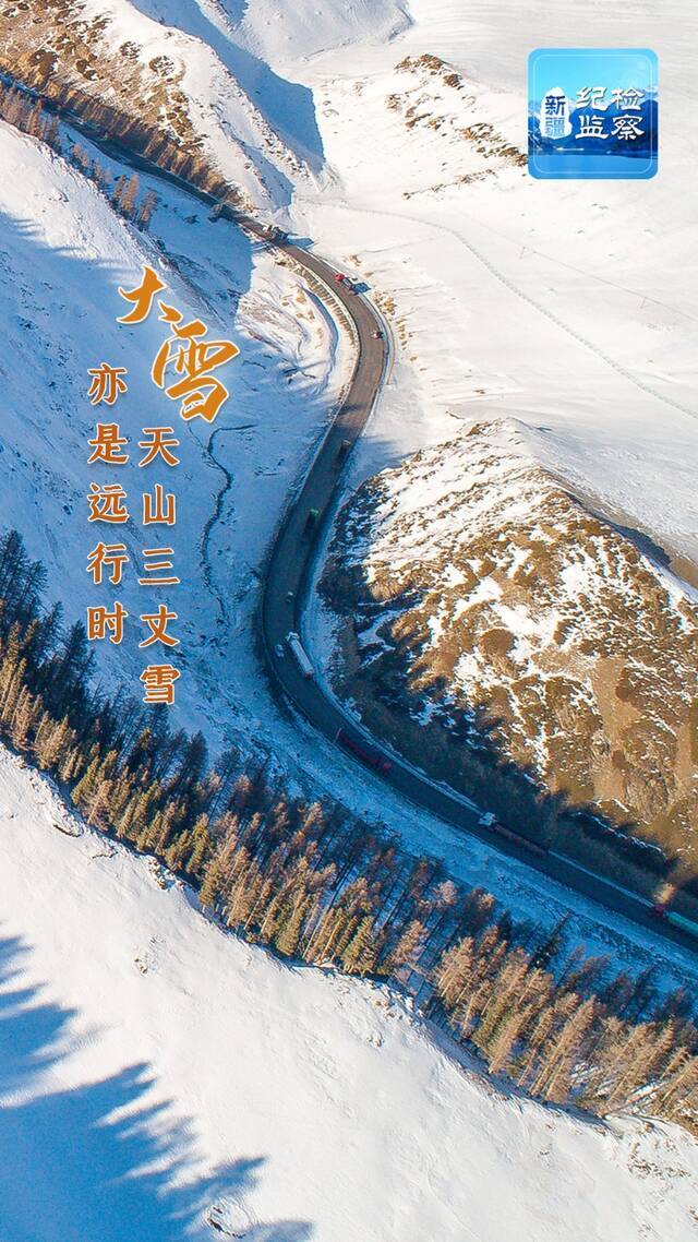 海报  大雪已至仲冬始