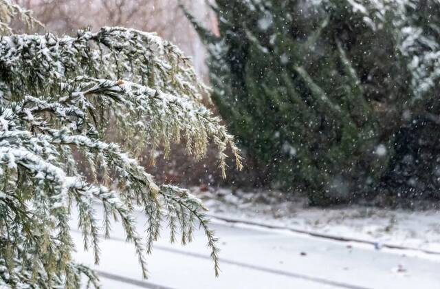 “大雪”已至，一起读诗吧