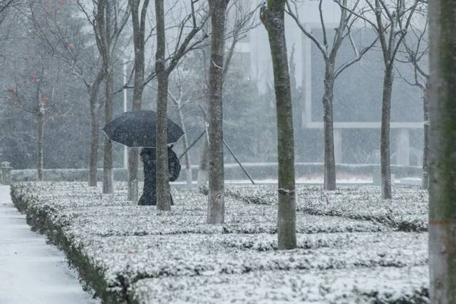 “大雪”已至，一起读诗吧