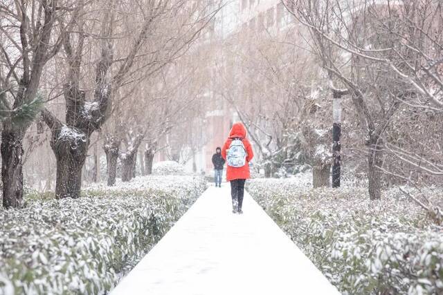 “大雪”已至，一起读诗吧