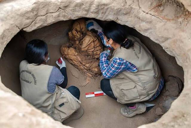 秘鲁首都利马附近出土800年历史保存完好的木乃伊全身被绑双手捂脸屈膝