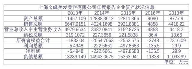 上海文峰美容美发有限公司年度报告企业资产状况信息天眼查截图