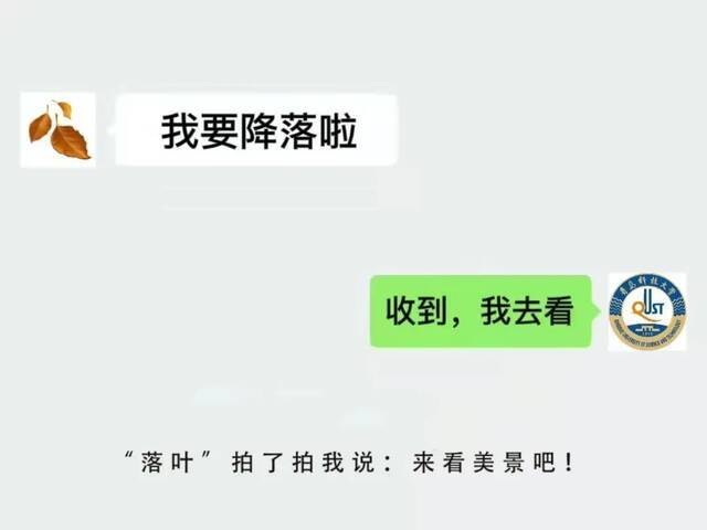 这才是青科大微信“拍一拍”正确玩法！