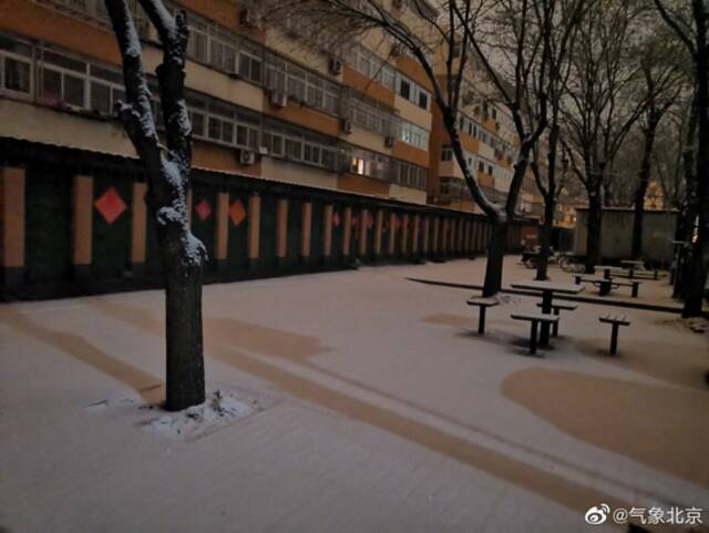 雪景照片来了！北京出现雨雪天气，最低气温零下1℃