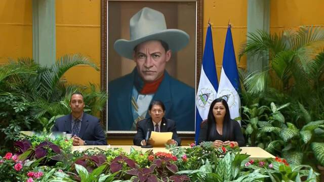 尼加拉瓜外长丹尼斯·蒙卡达·科林德莱斯发表声明视频截图
