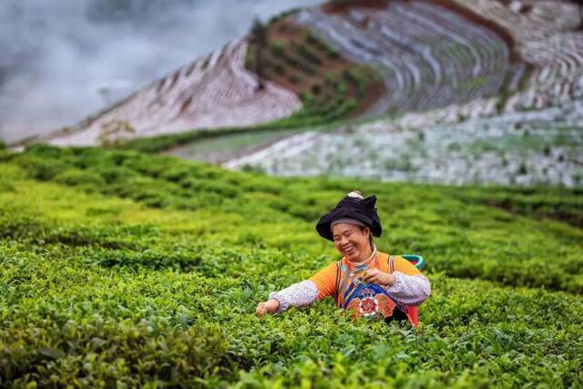 资料图