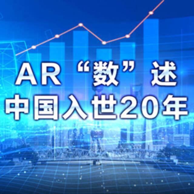 AR“数”述 中国入世20年