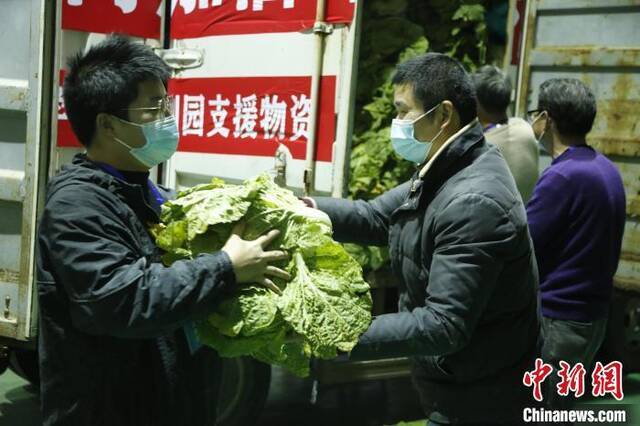 搬运爱心蔬菜运往蛟川街道王马飞供图