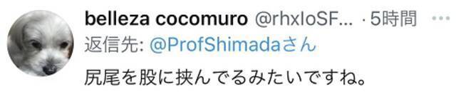 “女主人与仆从”？日本外务省发布日英外相会谈时照片，林芳正被批“卑微”