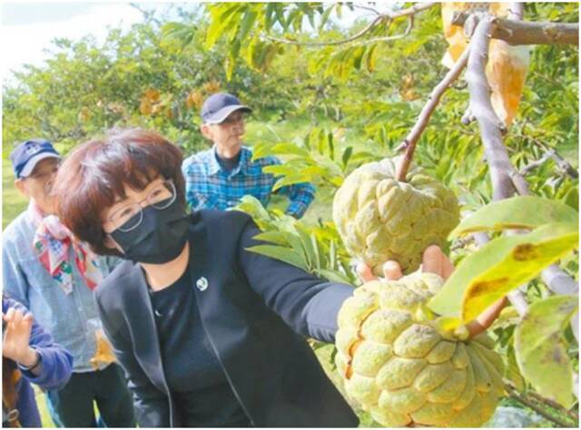 台东销往香港的水果箱上写有“中国台湾产品”，前“绿委”心态崩了