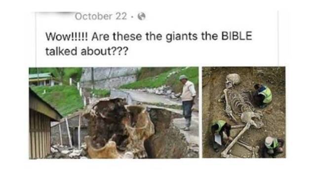“哇！！！这些就是圣经里提到的那些巨人吗？”