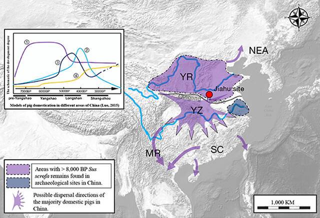 东亚家猪可能的起源区域及黄河流域野猪被驯化后的群体扩散方向示意图