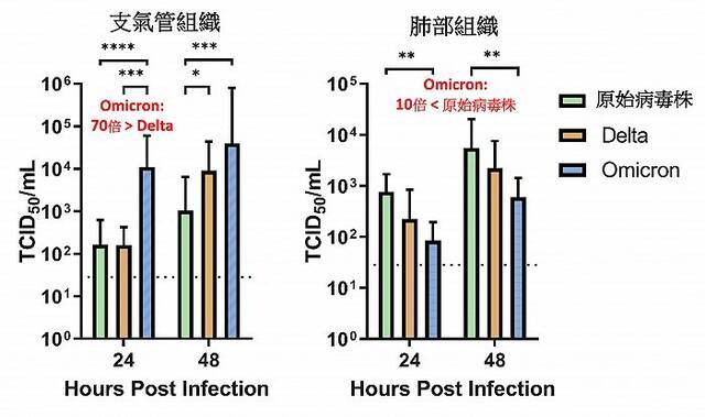 图片来源：香港大学