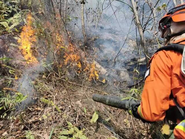 广西梧州森林火灾：火情总体可控 仅火场东侧山坡有部分断续火线