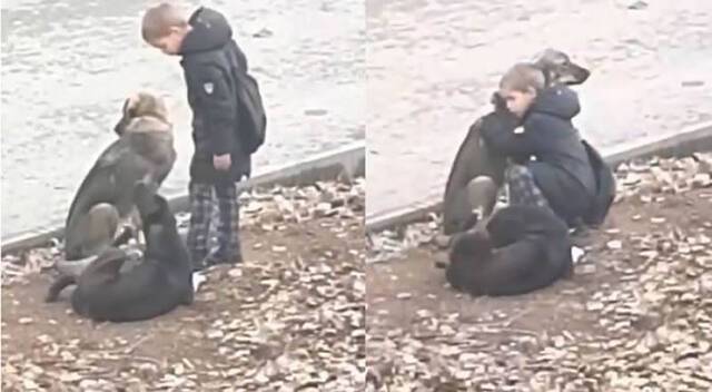 上学途中遇到流浪狗在路边晒太阳俄罗斯男童走过去给它拥抱