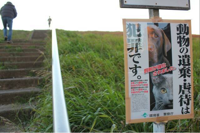 当地居民在现场树立了“遗弃、虐待动物是犯罪”的标语牌（时事通讯社18日摄）