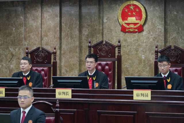 南宁市中级人民法院院长、一级高级法官韦武斌（中）担任审判长