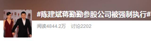 许晴、陈建斌、蒋勤勤等多位明星参股的公司成被执行人，执行标的3980万元